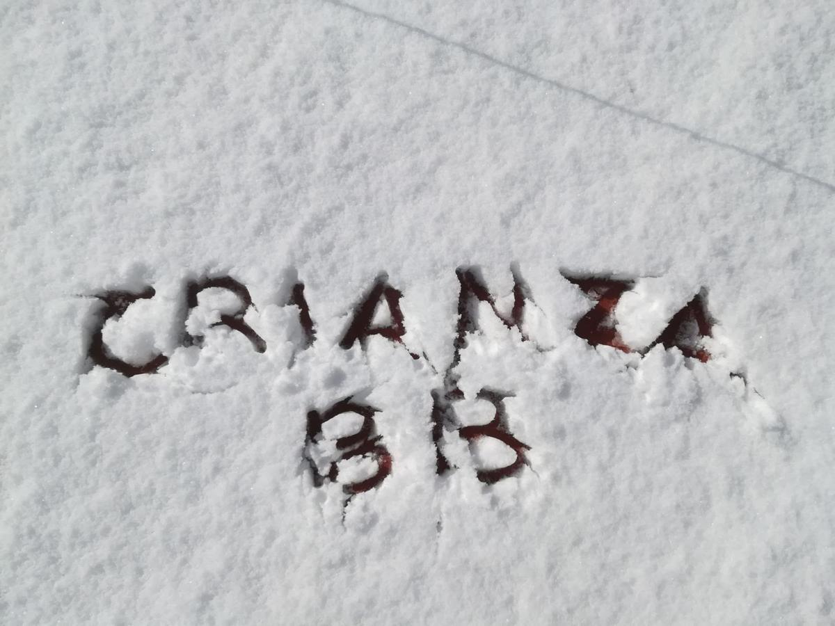 Crianza B&B Napoli Esterno foto